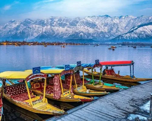 "Dal Lake with Shikaras