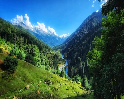 pahalgam mountain