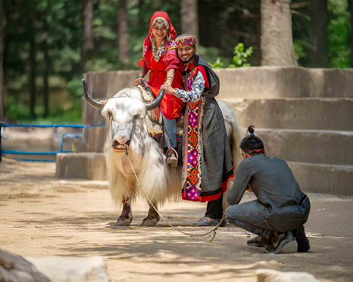 enchanting-himachal-honeymoon-special-exdelhi